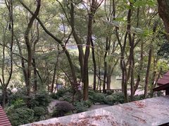 -忠山公园