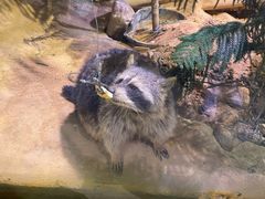 -正佳雨林生态植物园