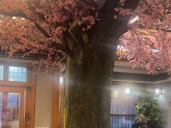 -鸥迪足道(安庆店)