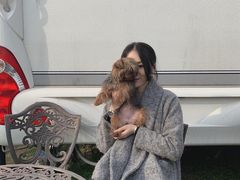 -崇明东平国家森林公园烧烤房车露营地