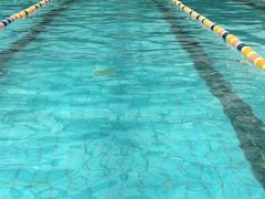 -远航游泳竞技馆(卫星广场店)