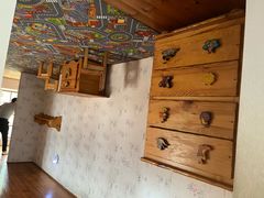 -金山农民画村-枫泾波兰倒置屋