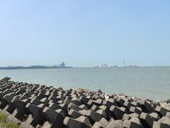 -上海滨江森林公园
