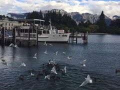 -Fergburger(皇后镇店)