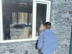 -长白山红松王滑雪场
