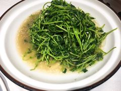 酒酿豆苗-龙猫意杯花园餐厅(芙蓉湖店)