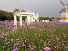 -松山湖梦幻百花洲