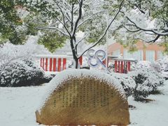 -麓山国际实验学校