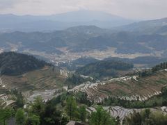 -紫鹊界梯田景区