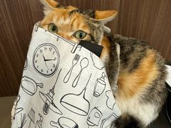 -Again Coffee Roaster(香蜜湖店)