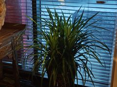 -足本纪·足道 SPA 简餐 小吃(文三西路店)