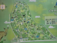 -合肥野生动物园