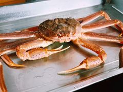 -綱元·海鲜豆捞(明州里店)