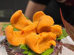 -水之惠鲜鱼料理(王府大街店)