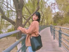 -大兴滨河森林公园