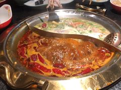 -熊喵来了火锅·牧场好肉(邯郸邯山万达店)