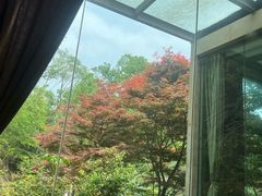 -天怡·鱼工厂(梅溪湖店)