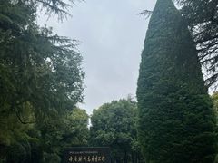 -宋庆龄陵园