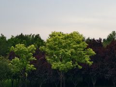 -北坞公园