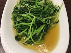 清炒鸡毛菜-福建美食城(老君堂店)