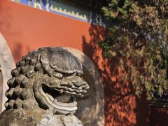 -灵谷景区