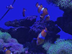 -多彩贵州城极地海洋世界