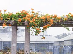 -华南国家植物园-售票处