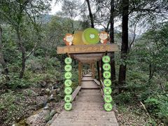-大岭沟猕猴桃谷风景区