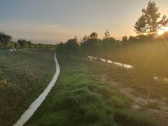 -洨河生态公园