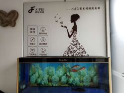 点击看大图 店内环境-东莞西妃整形美容医院