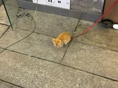 -神府路壹号·海鲜烧烤排档(三坊七巷店)