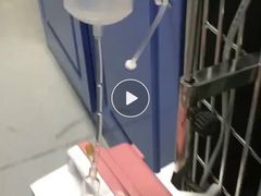-睿金宠物医院·CT·肿瘤·骨外科