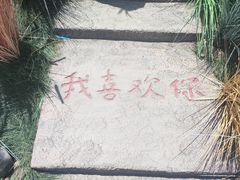 -苏州太湖西山岛开心农场