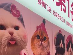 -K22.酸奶草莓(烟台芝罘店)