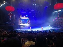 -广州长隆国际大马戏