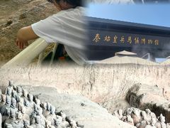 -秦始皇帝陵博物院(兵马俑)