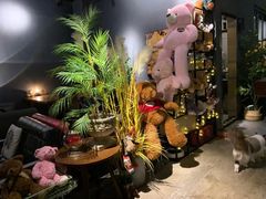 -咖法森林·咖啡  酒吧(天河店)