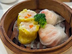 -新成海港大酒楼(康华路店)