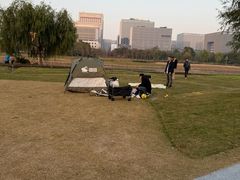 -春花秋色城市公园