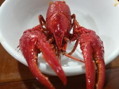 -恋拐子油爆虾·家常菜