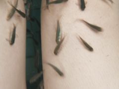 -波塞冬旅游度假区