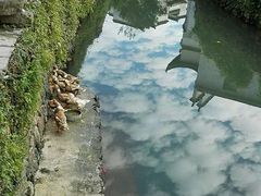 -黟县屏山村