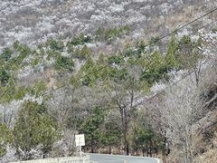 -妙峰山风景名胜区