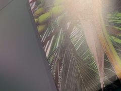 -烹然四季椰子鸡火锅(姚家园万象汇店)