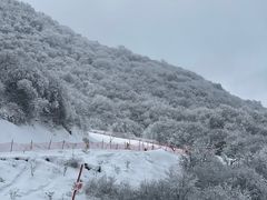 -太子岭滑雪场