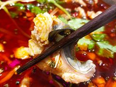 耗儿鱼-蛙一刀·麻椒鱼火锅(金仙桥店)