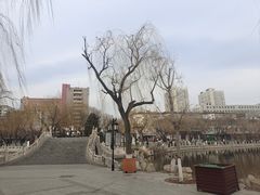 -文瀛公园