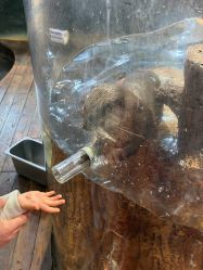 -Zoolung Zoolung动物主题公园(海信广场店)