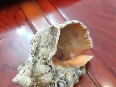 海螺-老方桌小馆