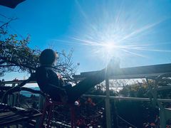-八大关景区